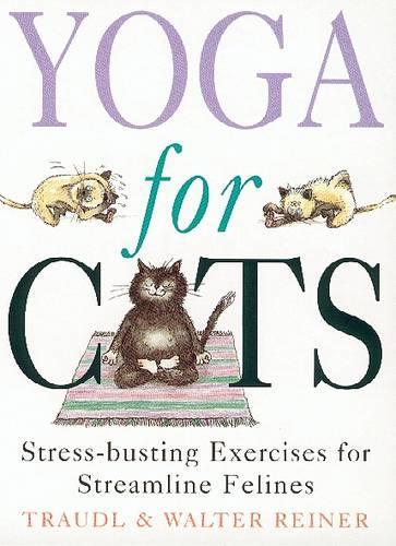 Yoga For Cats: Yoga For Cats (PB)