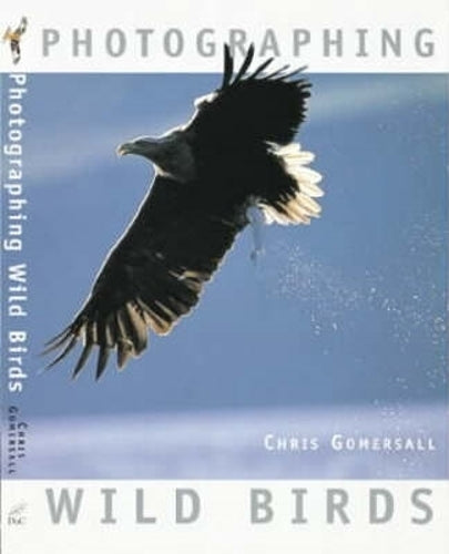 Photographing Wild Birds