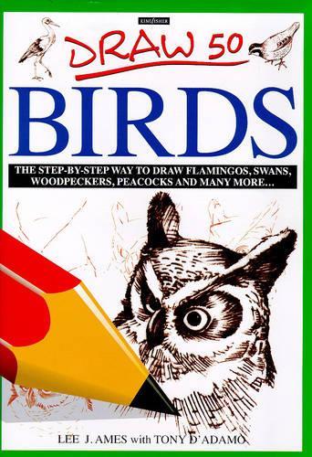Draw 50 Birds