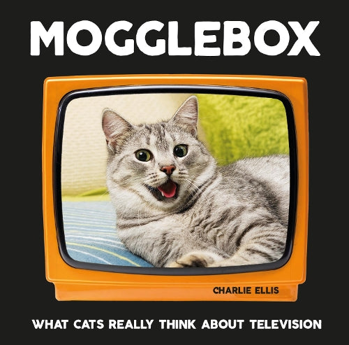 Mogglebox: What Cats Really Think About Television