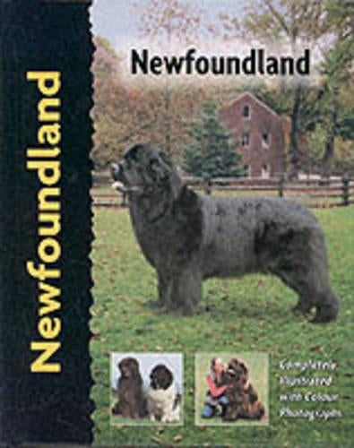 Newfoundland - Dog Breed Book (Pet Love)