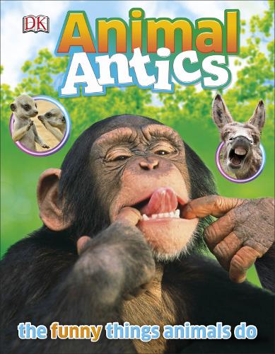 Animal Antics (Dk)