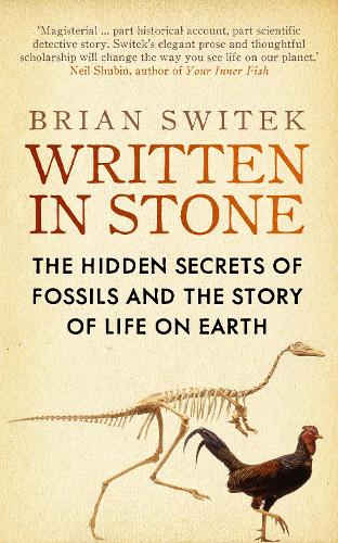Written in Stone