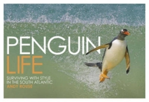 Penguin Life: Surviving with Style in the South Atlantic