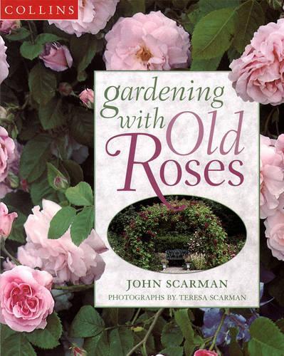 Gardening With Old Roses