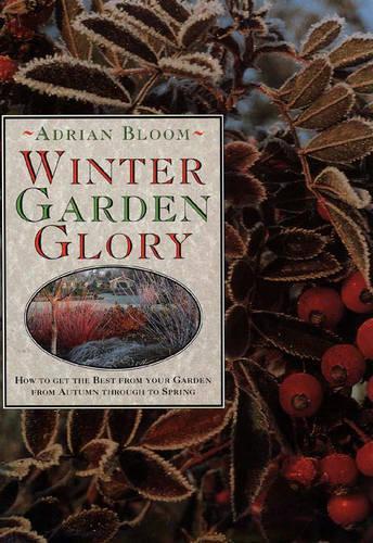 Winter Garden Glory