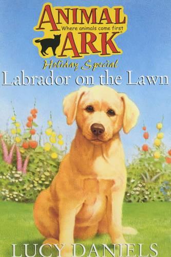 Labrador on the Lawn (Animal Ark)