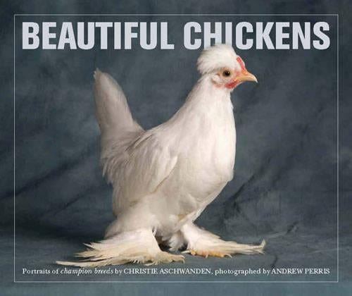 Beautiful Chickens: Portraits of Champion Breeds