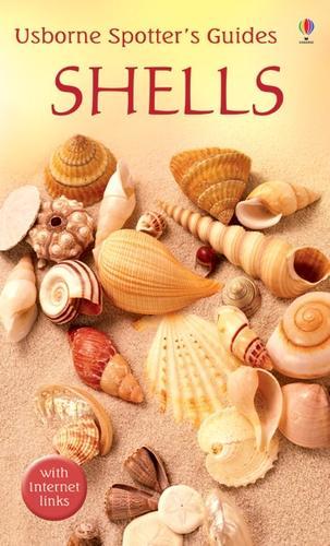 Shells (Usborne Spotters Guide)