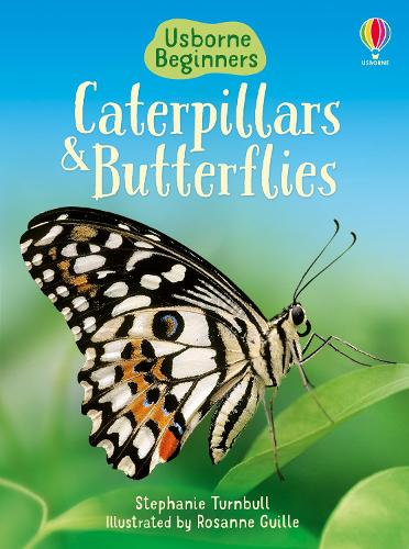 Caterpillars and Butterflies (Beginners)