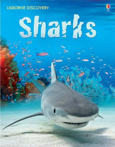 Sharks (Usborne Discovery)