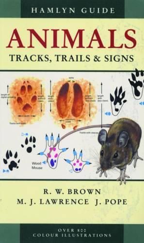 Animals Tracks, Trails and Signs (Hamlyn Guide)