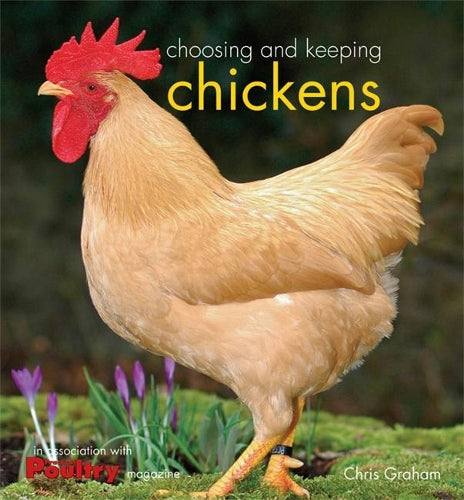 Choosing and Keeping Chickens