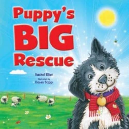 Puppys Big Rescue (Picture Flats - Igloo Books Ltd)
