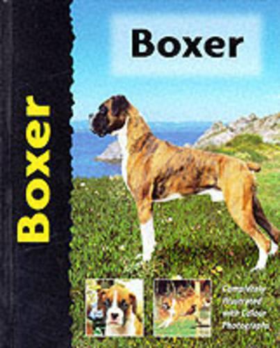 Boxer - Pet Love