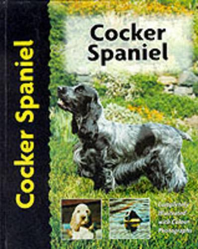 Cocker Spaniel (Pet Love)