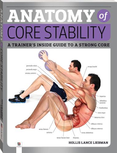 Anatomy Of Core Stability (2019 Edition)