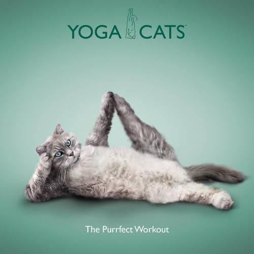 Yoga Cats - The Purrfect Workout