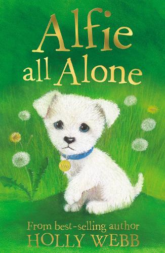Alfie All Alone by Webb, Holly ( Author ) ON Feb-19-2007, Paperback
