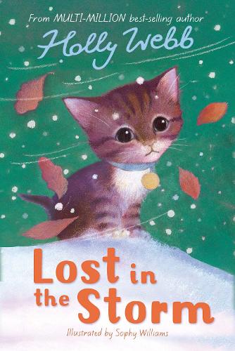 Lost in the Storm (Holly Webb Animal Stories)