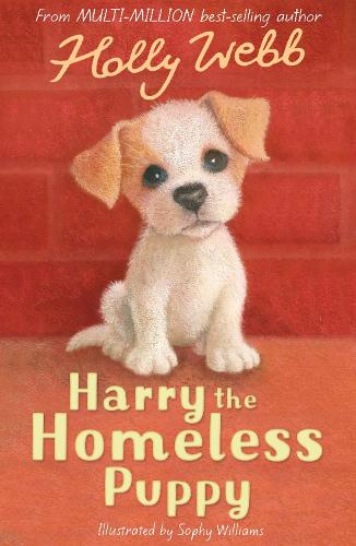 Harry the Homeless Puppy (Holly Webb Animal Stories)