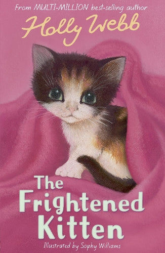 The Frightened Kitten (Holly Webb Animal Stories)