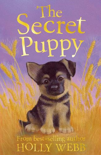 The Secret Puppy (Holly Webb Animal Stories)