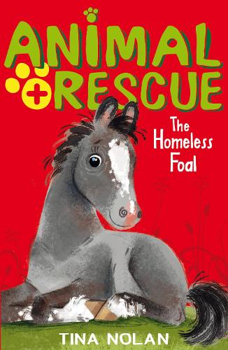 The Homeless Foal (Animal Rescue)