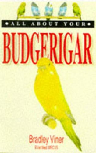 All About Your Budgerigar