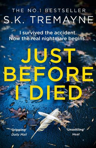Just Before I Died: The gripping new psychological thriller from the bestselling author of The Ice Twins