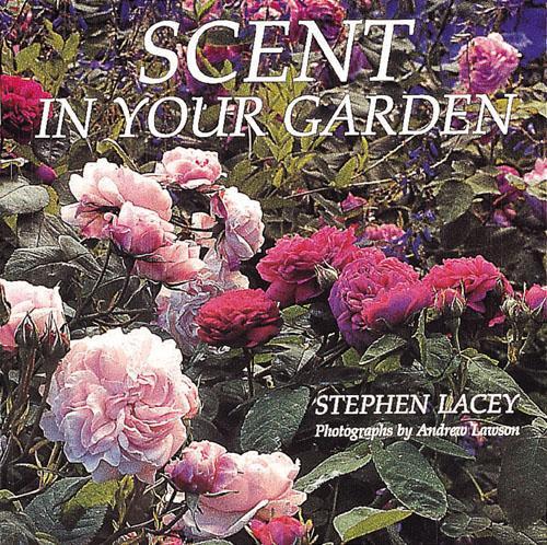 Scent in Your Garden