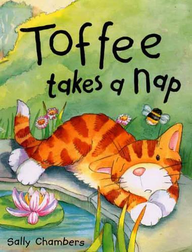 Toffee Takes a Nap