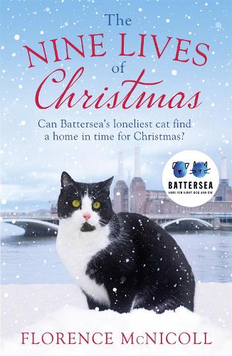 The Nine Lives of Christmas: Can Batterseas Felicia find a home in time for the holidays?