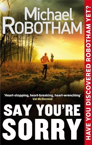 Say Youre Sorry (Joe Oloughlin 5)