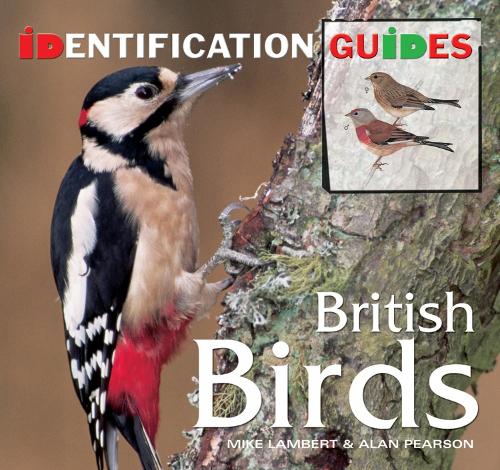 British Birds: Identification Guide (Identification Guides)