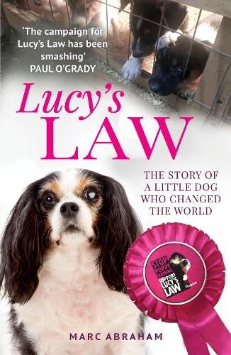 Lucys Law: The story of a little dog who changed the world
