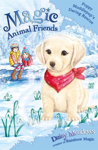 Poppy Muddlepups Daring Rescue: Special 1 (Magic Animal Friends)