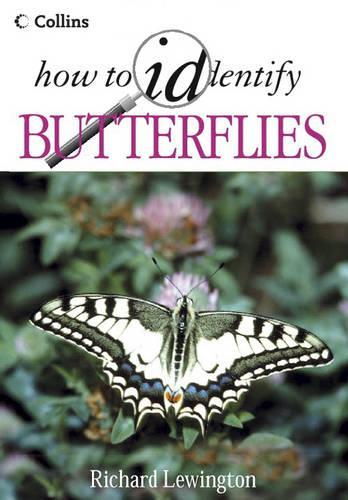 How to Identify – Butterflies