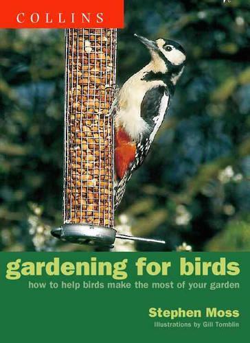 Gardening for Birds: How to help birds make the most of your garden