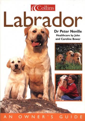 Collins Dog Owners Guide - Labrador (Collins Dog Owners Guides)