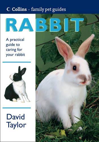 Collins Family Pet Guide - Rabbit (Collins Famliy Pet Guide)