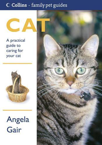 Cat: A Practical Guide to Caring for Your Cat