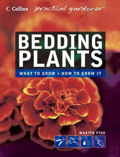 Bedding Plants (Collins Practical Gardener)