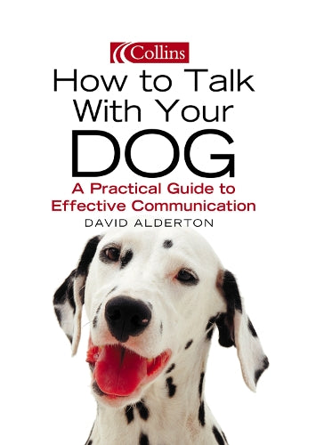 How to Talk with your Dog