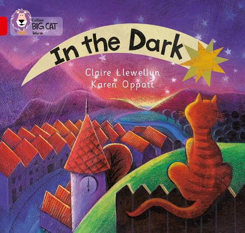 In the Dark: A patterned non-fiction text with atmospheric illustrations to show what happens in the dark. (Collins Big Cat): Band 02a/Red A