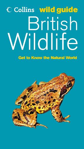 British Wildlife (Collins Wild Guide)