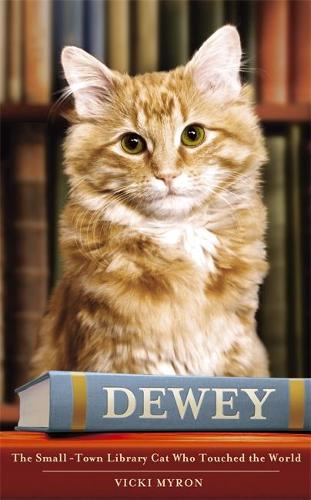 Dewey: The small-town library-cat who touched the world: A Small Town, a Library and the Worlds Most Beloved Cat