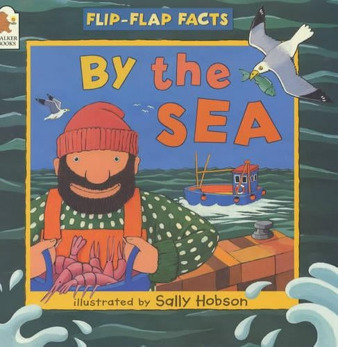 By the Sea (Flip-flap Facts)