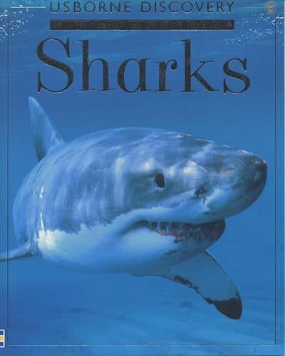 Sharks (Usborne "Discovery" Programme)