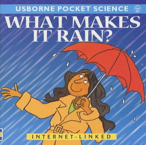 What Makes it Rain? (Usborne Pocket Science)